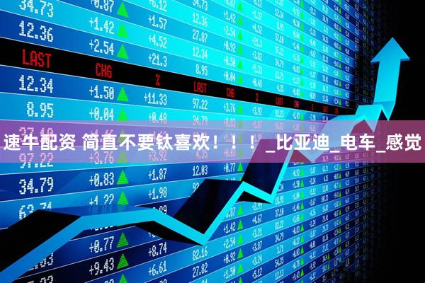 速牛配资 简直不要钛喜欢！！！_比亚迪_电车_感觉