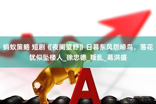 蚂蚁策略 短剧《夜阑望舒》日暮东风怨啼鸟，落花犹似坠楼人_徐忠德_叛乱_葛洪盛