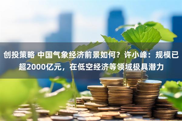 创投策略 中国气象经济前景如何？许小峰：规模已超2000亿元，在低空经济等领域极具潜力