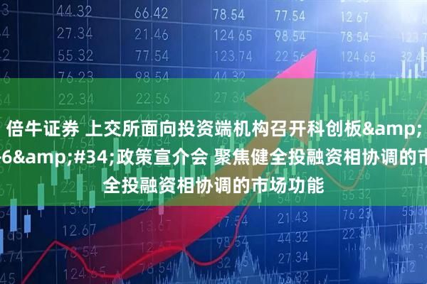 倍牛证券 上交所面向投资端机构召开科创板&#34;1+6&#34;政策宣介会 聚焦健全投融资相协调的市场功能