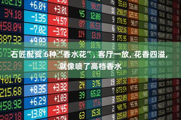 石匠配资 6种“香水花”, 客厅一放, 花香四溢, 就像喷了高档香水