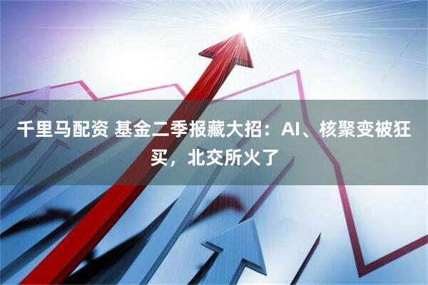 千里马配资 基金二季报藏大招：AI、核聚变被狂买，北交所火了