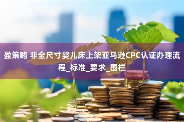盈策略 非全尺寸婴儿床上架亚马逊CPC认证办理流程_标准_要求_围栏