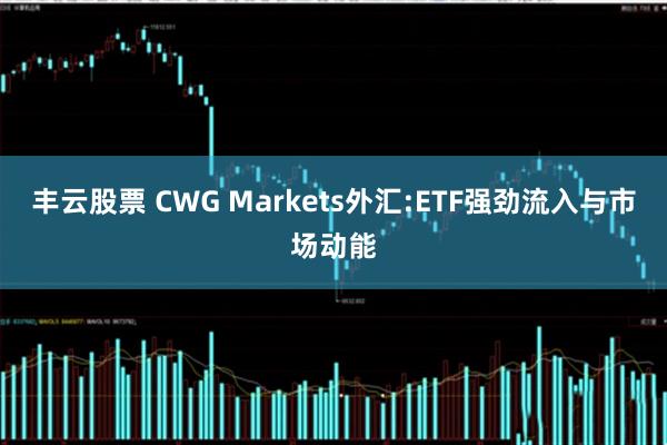 丰云股票 CWG Markets外汇:ETF强劲流入与市场动能
