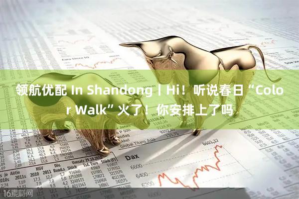 领航优配 In Shandong丨Hi！听说春日“Color Walk”火了！你安排上了吗